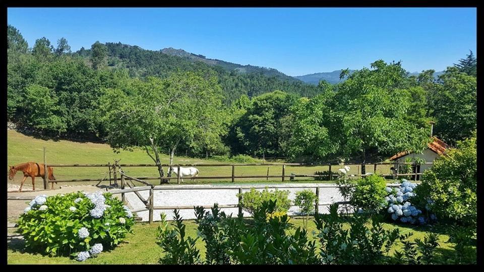 Apartamento Quinta Da Quinta Vieira do Minho Exterior foto